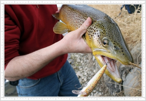 Alberta - Top 10 Fly Fishing Guides