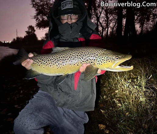 Night fishing the Bow River – Bow River Blog